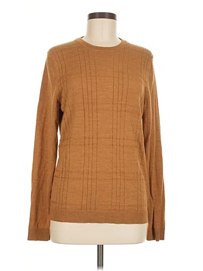 Pre-owned Apt. 9 Pullover Sweater In Brown