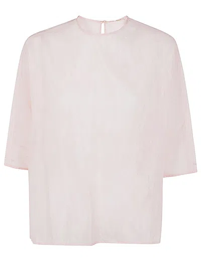 Apuntob P1842.ts788 In Pink