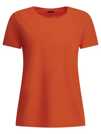 Apuntob Short-sleeve Cotton T-shirt In Orange