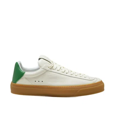 Aqua Alta Venice Laguna White Honey Green In Brown