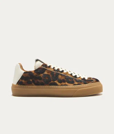 Aqua Alta Venice Leopard Print Mini Sneakers For Women In Brown