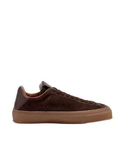 Aqua Alta Venice Moro Brown Suede Sneakers With Padded Collar In Black