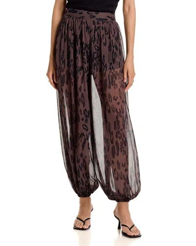 Aqua Animal Ballon Pants - Exclusive In Black