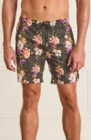 Aqua Blu Classic Boardshorts In Black