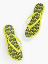 Aqua Club Bea Molded Thong Flip Flops -  Fiji Shell Sweaters - Lime Citron/indigo Blue - 7m Talbots In Lime Citron,indigo Blue