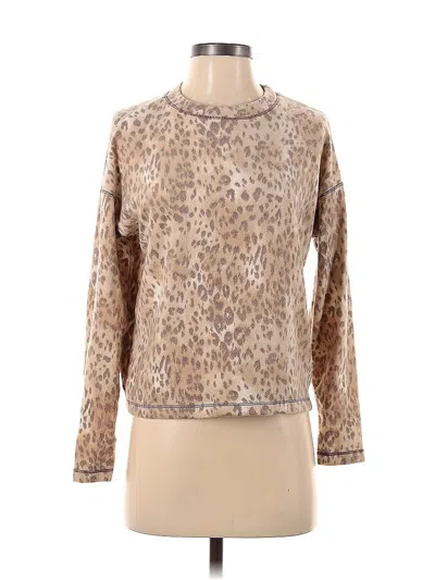 Pre-owned Aqua Pullover Sweater In Brown