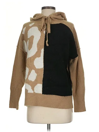 Pre-owned Aqua Pullover Sweater In Brown