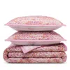 Aqua Reversible Printed Cotton Quilt Set, King - Exclusive In Pink