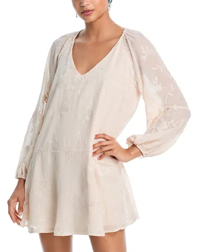 Aqua X Ava Phillippe Embroidered Floral Chiffon Mini Dress - Exclusive In Neutral