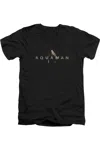 Aquaman Movie Logo Short Sleeve Adult V Neck Premium Cotton Tee / T-shirt In Black