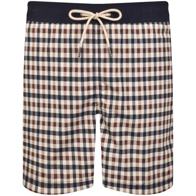 Aquascutum Iconic Volley Swim Shorts Navy In Brown