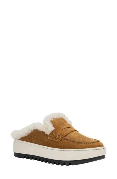 Aquatalia Amata Genuine Shearling Lined Mule In Brown
