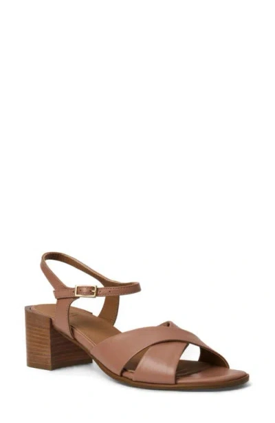 Aquatalia Domenica Weatherproof Ankle Strap Sandal In Brown