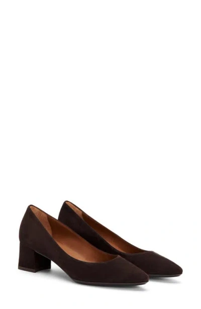 Aquatalia Pasha Pointed Toe Pump In Espresso Suede