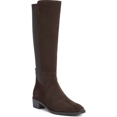 Aquatalia Rhegan Weatherproof Knee High Boot In Brown