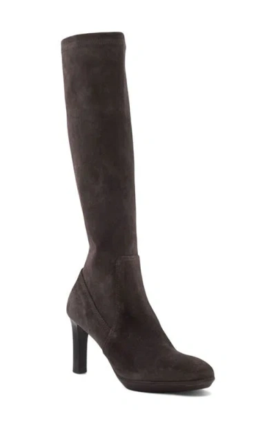 Aquatalia Rhumba Knee High Boot In Brown