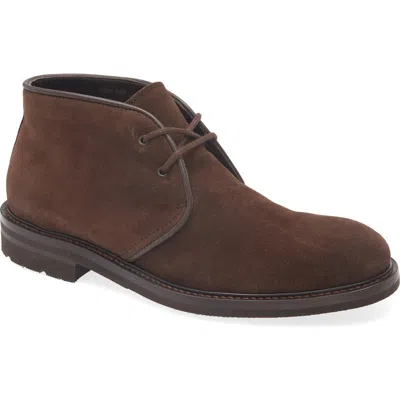 Aquatalia Rinaldo Chukka Water Resistant Boot In Brown Brown