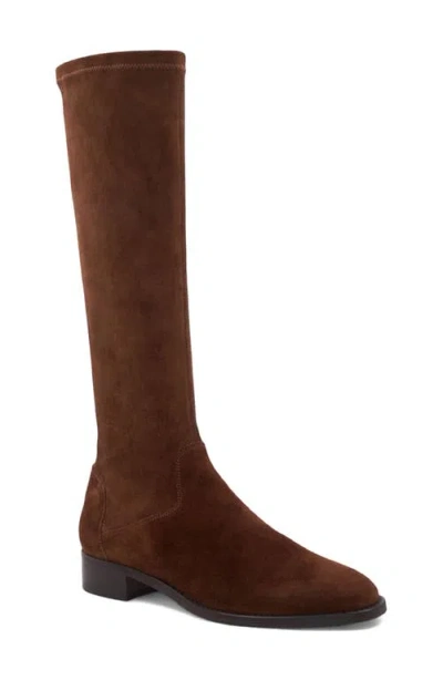 Aquatalia Sabrena Water Resistant Knee High Boot In Brown