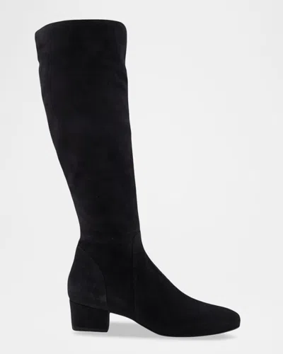 Aquatalia Serafina Suede Knee-high Boots In Black