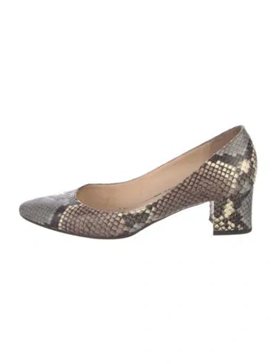Pre-owned Aquatalia Snakeskin Animal Print Pumps In Gray