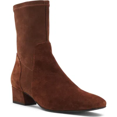 Aquatalia Stassi Water Repellent Bootie In Brown