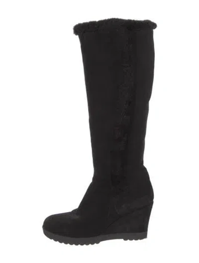 Pre-owned Aquatalia Suede Boots In Black