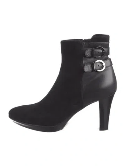 Pre-owned Aquatalia Suede Boots In Black