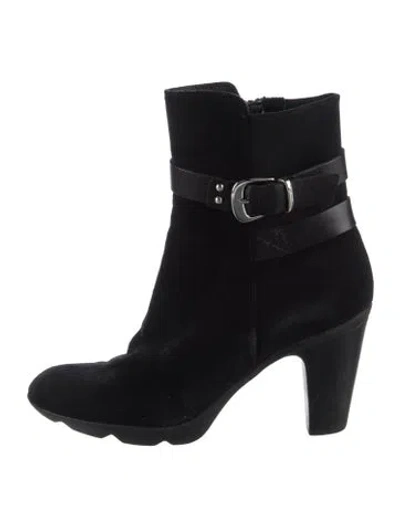 Pre-owned Aquatalia Suede Boots In Black