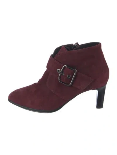Pre-owned Aquatalia Suede Boots In Burgundy