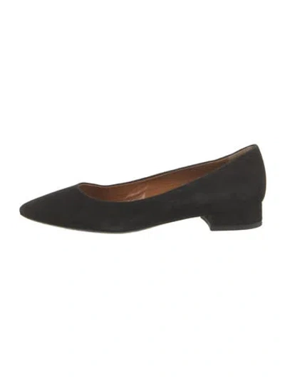 Pre-owned Aquatalia Suede Pumps In Black