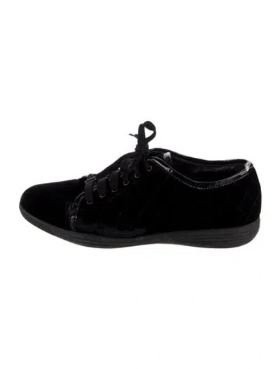 Pre-owned Aquatalia Velvet Sneakers In Black