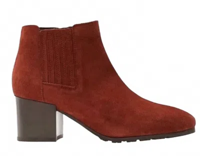 Aquatalia Women's Charlotte Chelsea Suede Leather Waterproof Booties In Rust In Multi