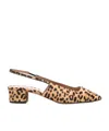 Aquazzura Ginza 35 Leopard-print Calf Hair Slingback Pumps In Multi