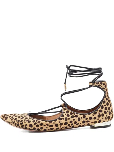 Pre-owned Aquazzura 888852 Brown