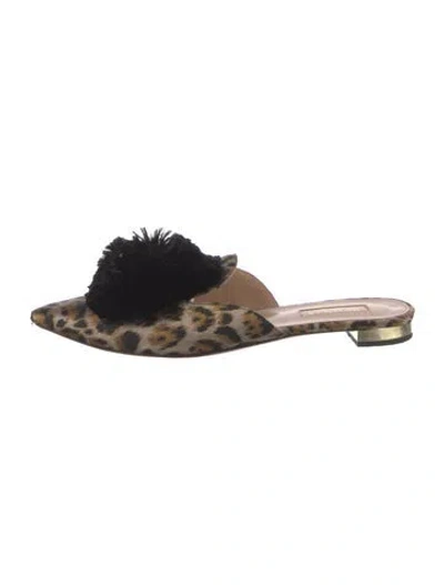 Pre-owned Aquazzura Animal Print Pom-pom Embellishments Mules In Brown