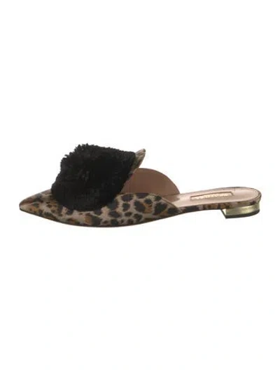 Pre-owned Aquazzura Animal Print Pom-pom Embellishments Mules In Brown
