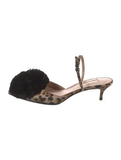 Pre-owned Aquazzura Animal Print Pom-pom Embellishments Mules In Neutral