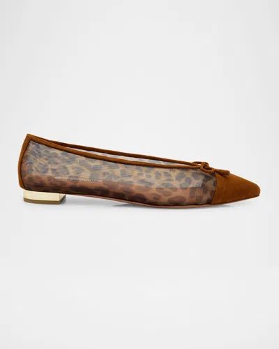 Aquazzura Gioia Leopard Mesh And Suede Ballet Flats In Multi