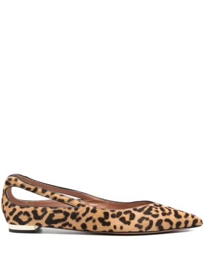 Aquazzura Leopard-print Ballet Flats In Brown