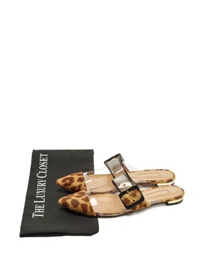 Pre-owned Aquazzura Leopard-print Buckle Mules In Brown