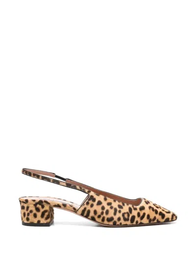 Aquazzura Leopard Slingback Pumps In Multi