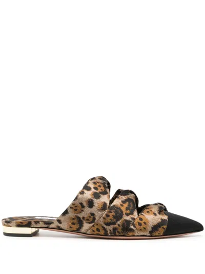 Aquazzura Pointed-toe Leopard-print Mules In Brown