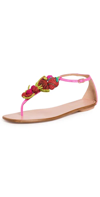 AQUAZZURA STRAWBERRY PUNCH SANDALS ULTRA PINK