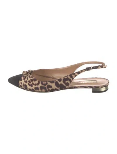 Pre-owned Aquazzura Suede Animal Print Flats In Brown