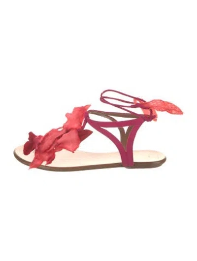 Pre-owned Aquazzura Suede Floral Print Gladiator Sandals In Pink