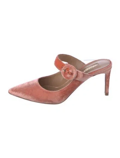 Pre-owned Aquazzura Suede Mules In Black