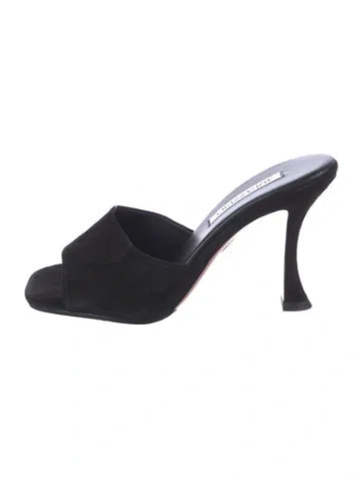 Pre-owned Aquazzura Suede Mules In Blue