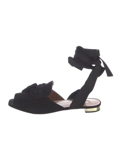 Pre-owned Aquazzura Suede Tassel Accents Mules In Blue
