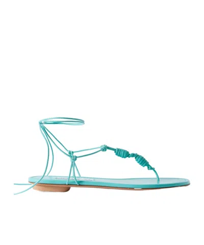 Aquazzura Thong Flat Sandals In Blue
