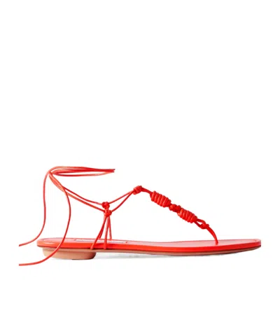 Aquazzura Thong Flat Sandals In Red